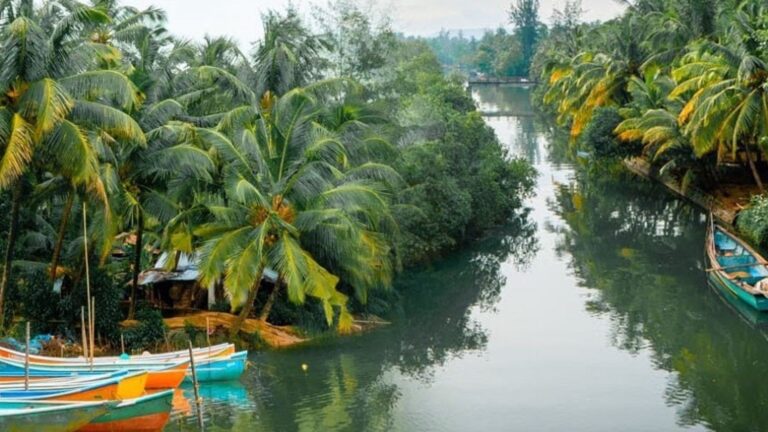 896636173honnavar backwaters
